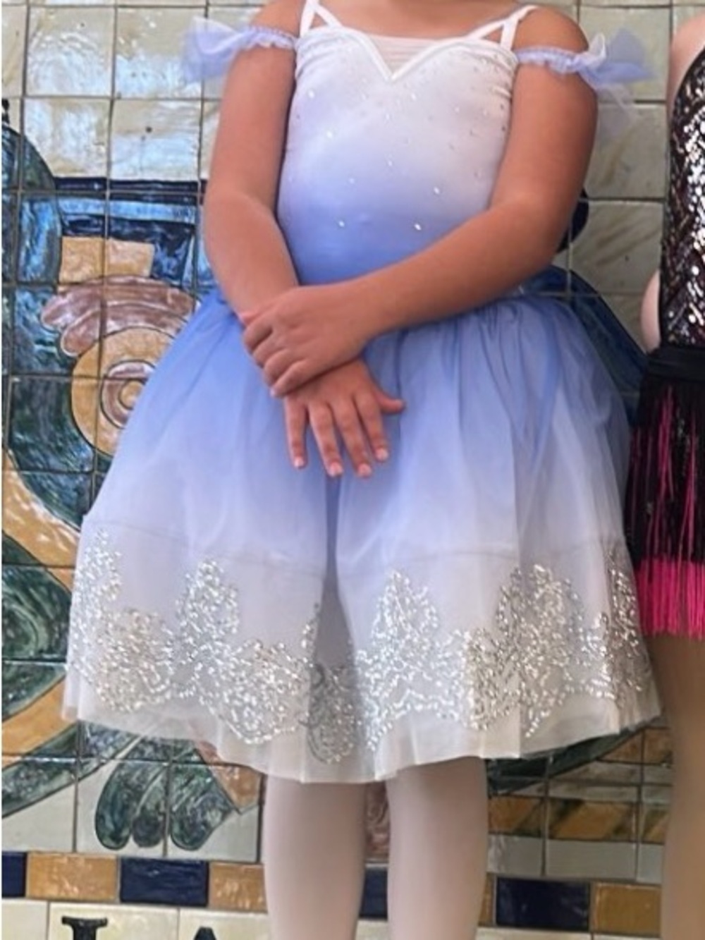 Blue Ombre Tulle Ballet Dress with Silver Sequin Trim